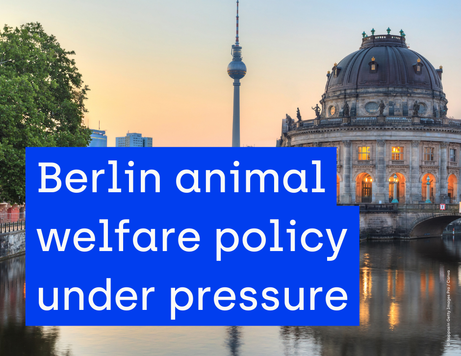 Berlin animal welfare policy under pressure